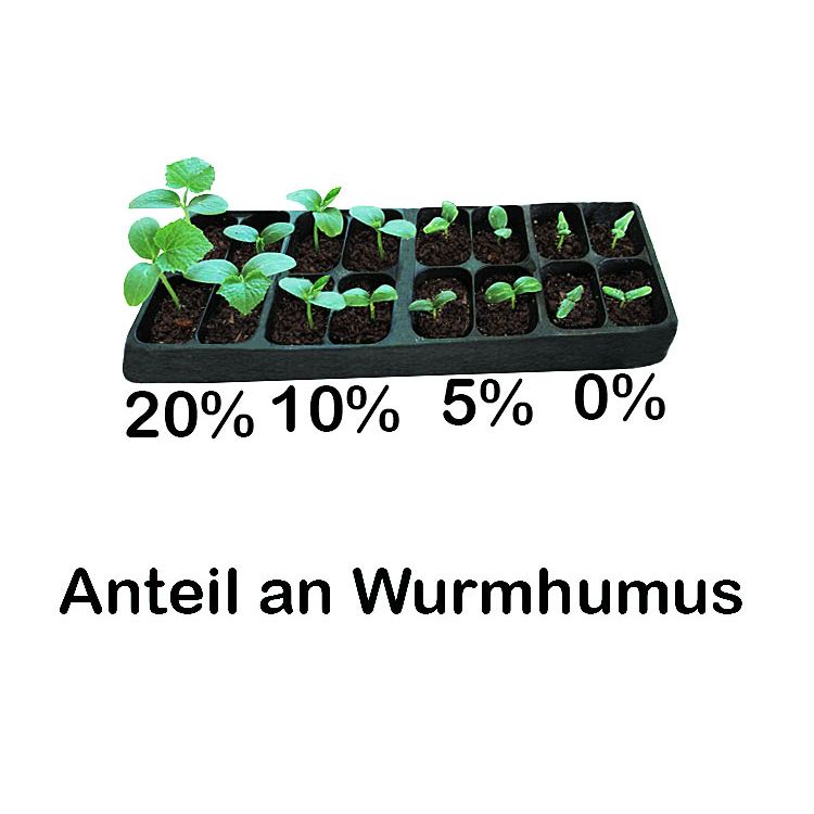 Worm humus / worm compost - 1L | Gift, sample bucket | 100% natural organic fertilizer