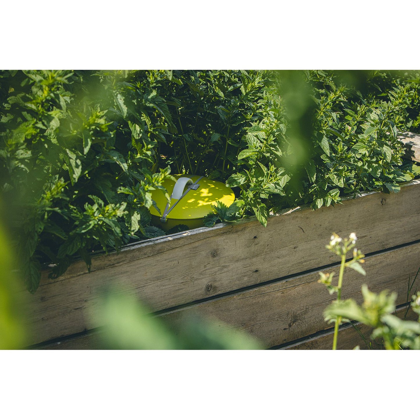 Beetkomposter Plastia Einsteigerpaket (Bundle)