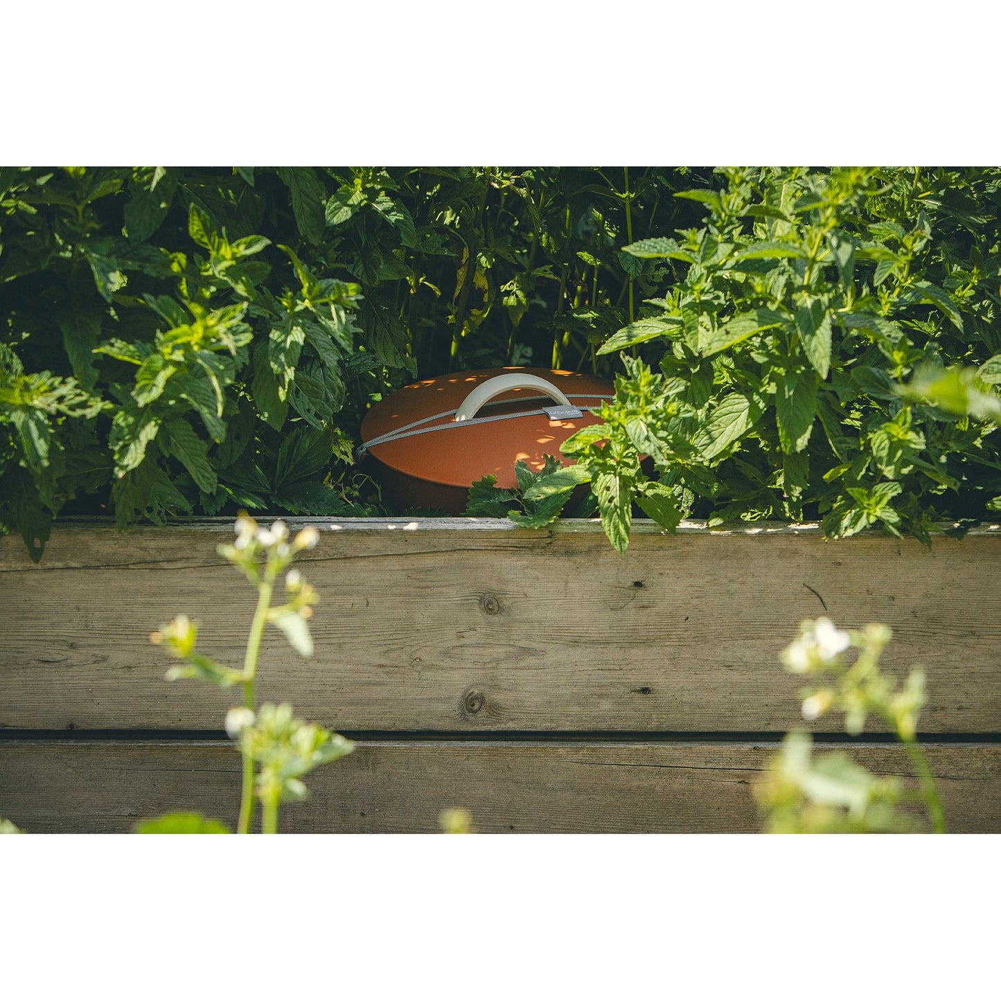 Beetkomposter Plastia Einsteigerpaket (Bundle)