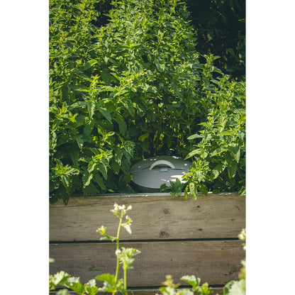 Beetkomposter Plastia Einsteigerpaket (Bundle)