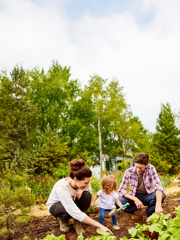 Gartenwürmer Mobile