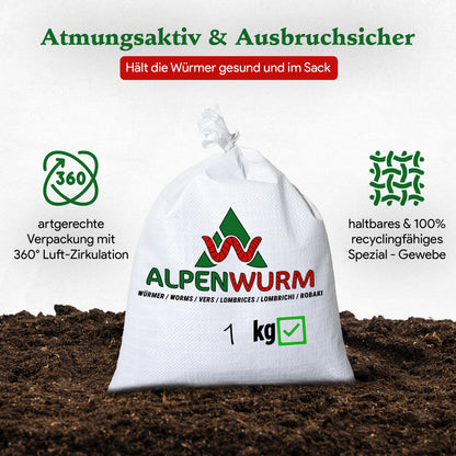 Angelwürmer - Dendrobena (mit Größen - Auswahl)