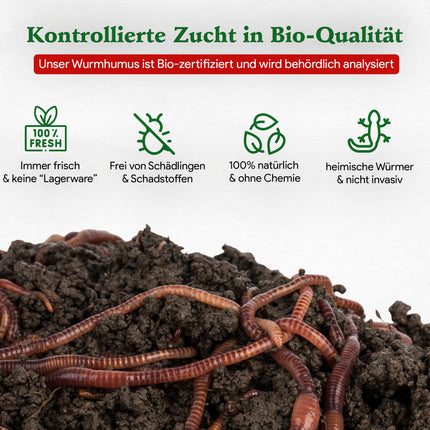 Gartenwürmer - Eisenia Mix