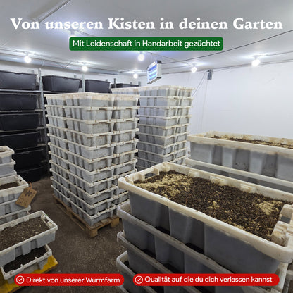 Gartenwürmer - Eisenia Mix