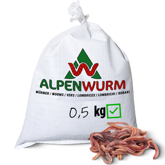 0,5 kg Würmer nach Wahl