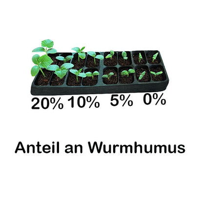 Worm humus / worm compost - 1L | Gift, sample bucket | 100% natural organic fertilizer