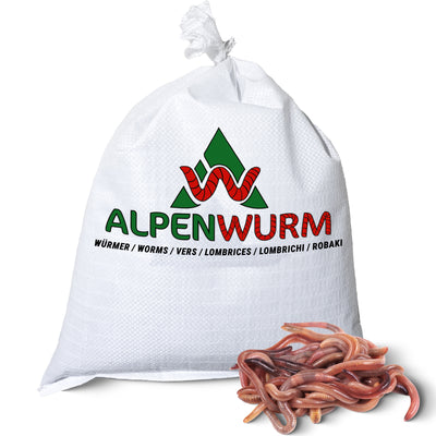 Futterwürmer - Dendrobena (mit Größen - Auswahl)