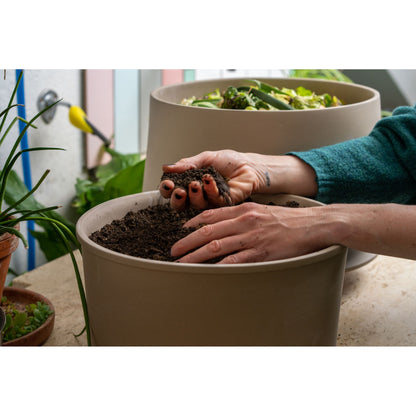 WormUp Home 2 - Wurmkomposter