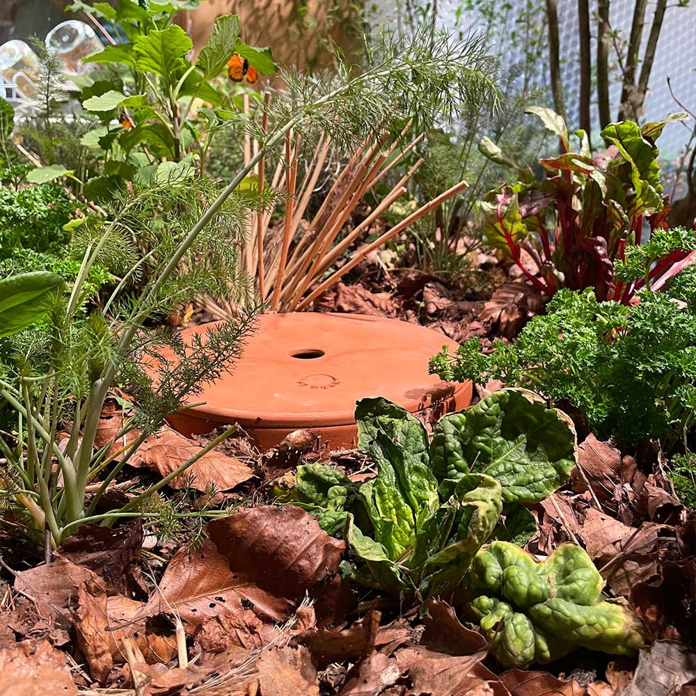 WormUp TUBE - Compost tube made of clay for flower beds