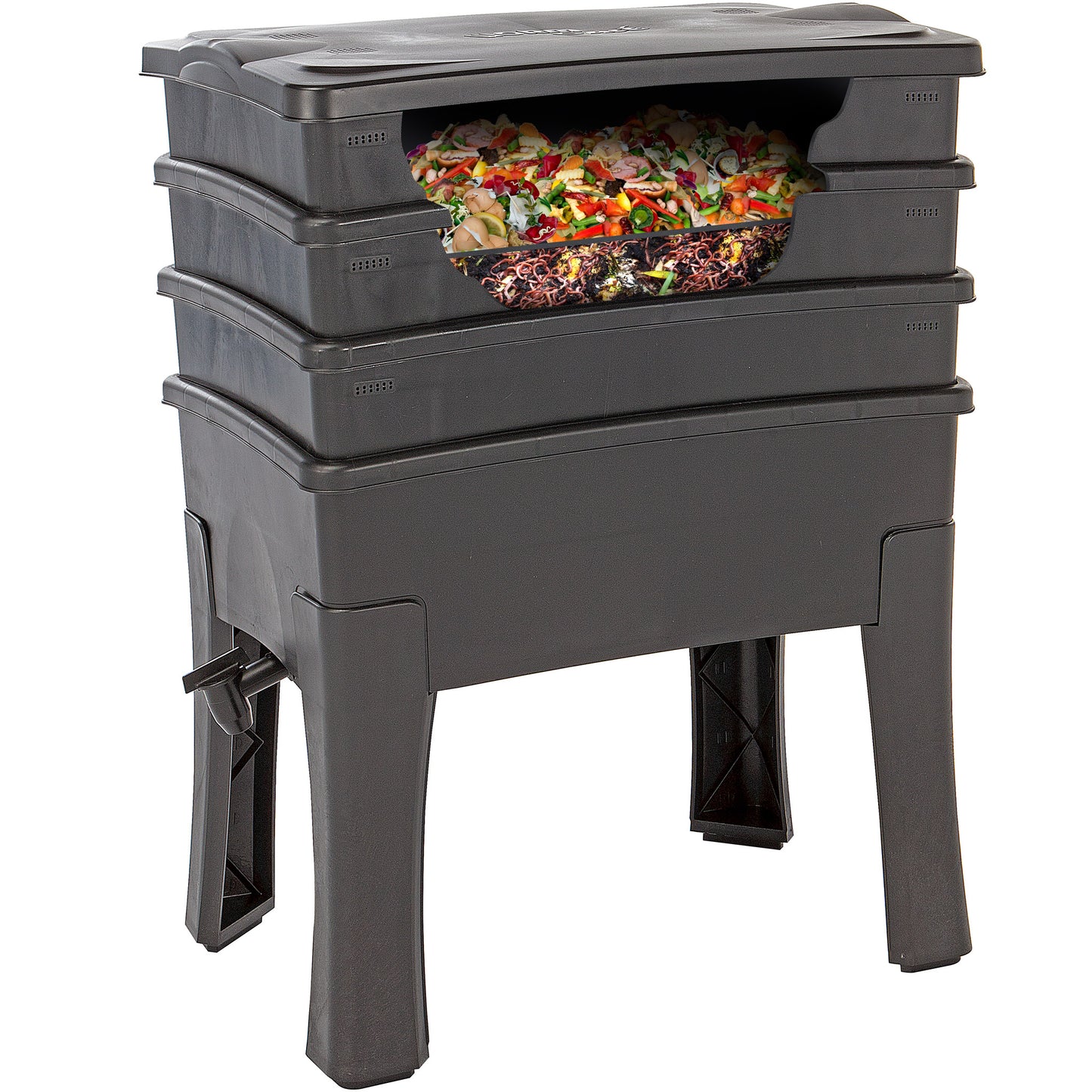 Wurm Cafe Einsteigerpaket (Bundle)