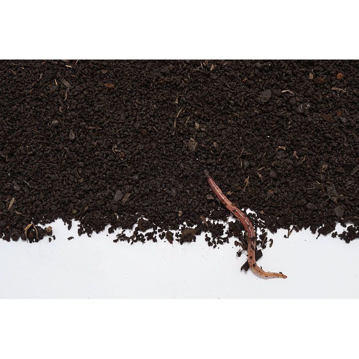 Worm humus / worm compost - 1L | Gift, sample bucket | 100% natural organic fertilizer